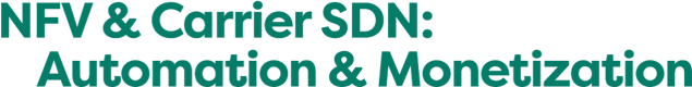 NFV & Carrier SDN