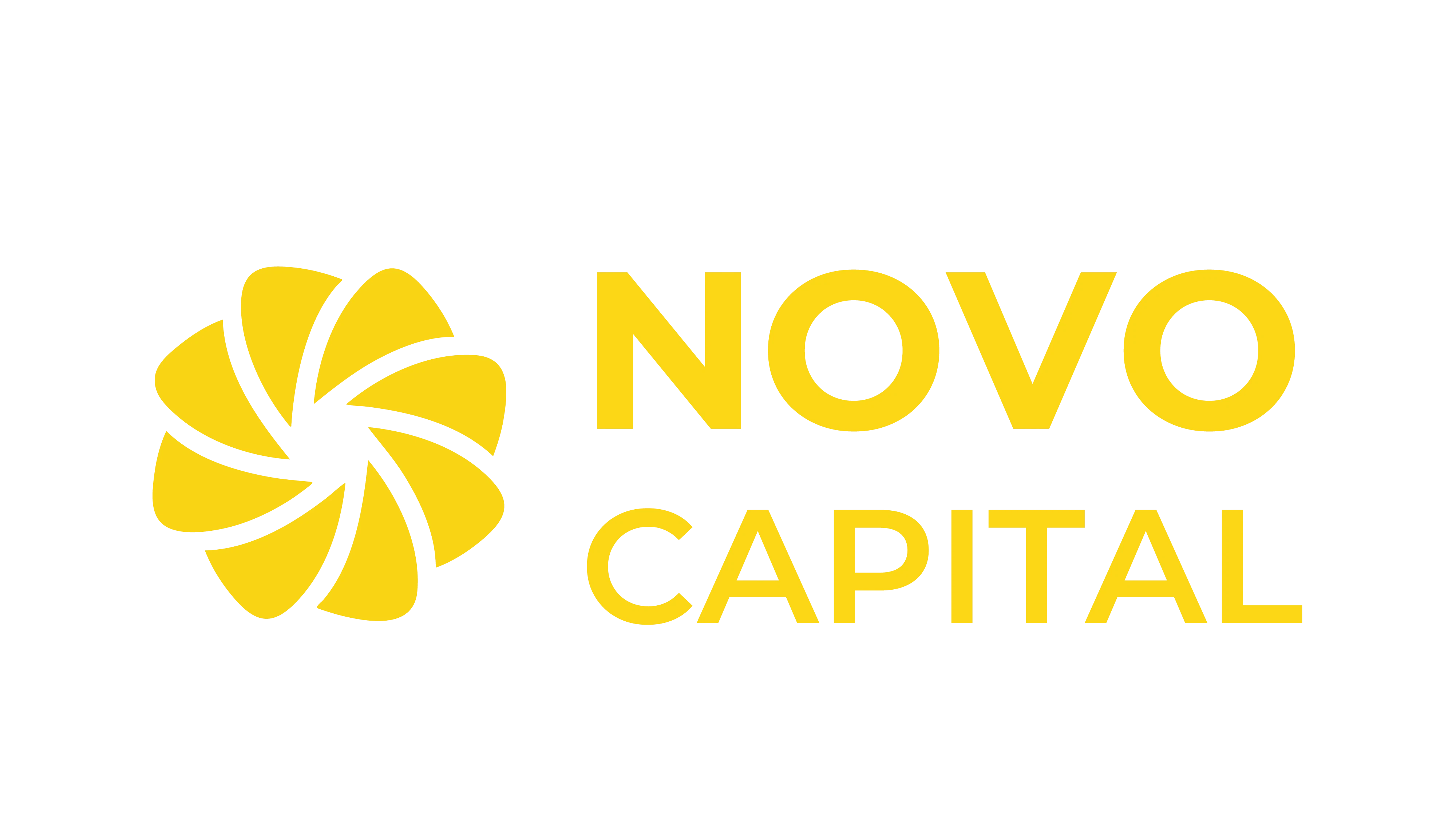 novo capital