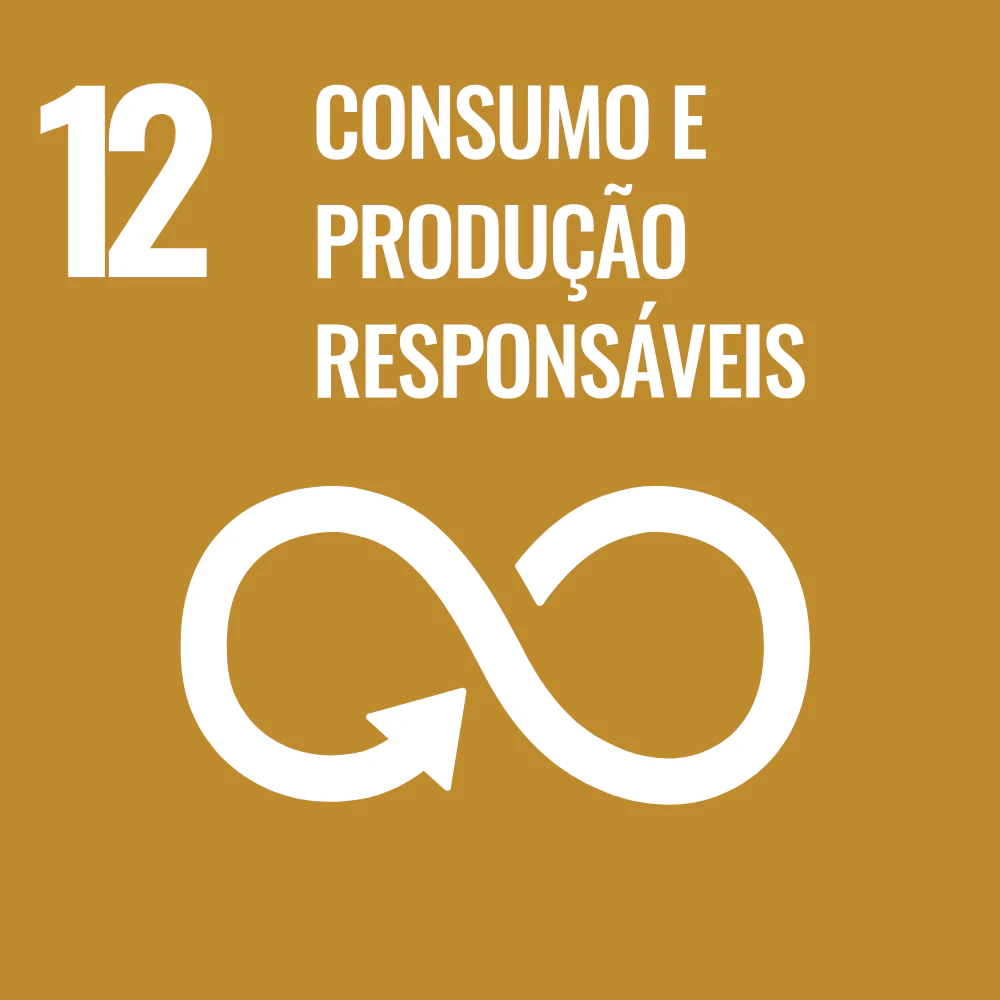 Consumo E Producao Responsaveis