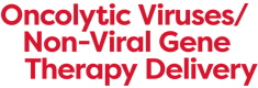 Oncolytic Viruses / Non-viral Gene Therapy Delivery