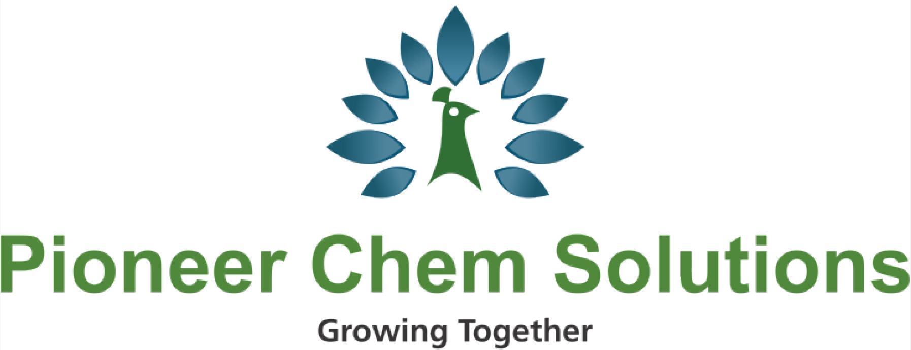 Pioneer Chem Solutions