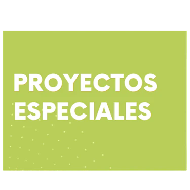 Proyectos especiales