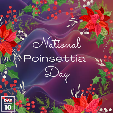 National Poinsettia Day