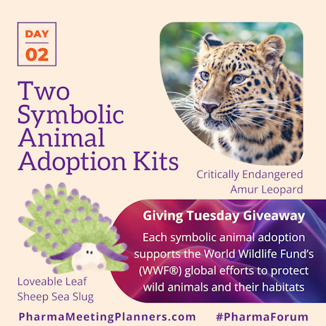 Two Symbolic Animal Adoption Kits for Giving Tuesday