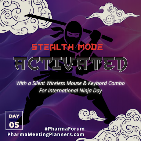 International Ninja Day