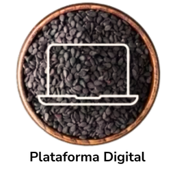 Plataforma Digital