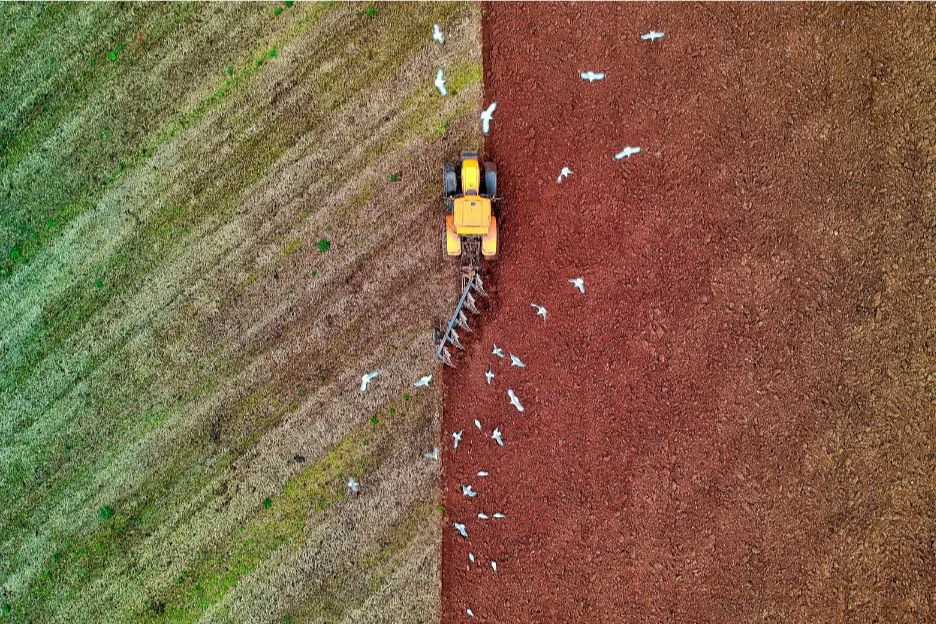 Ploughing a field