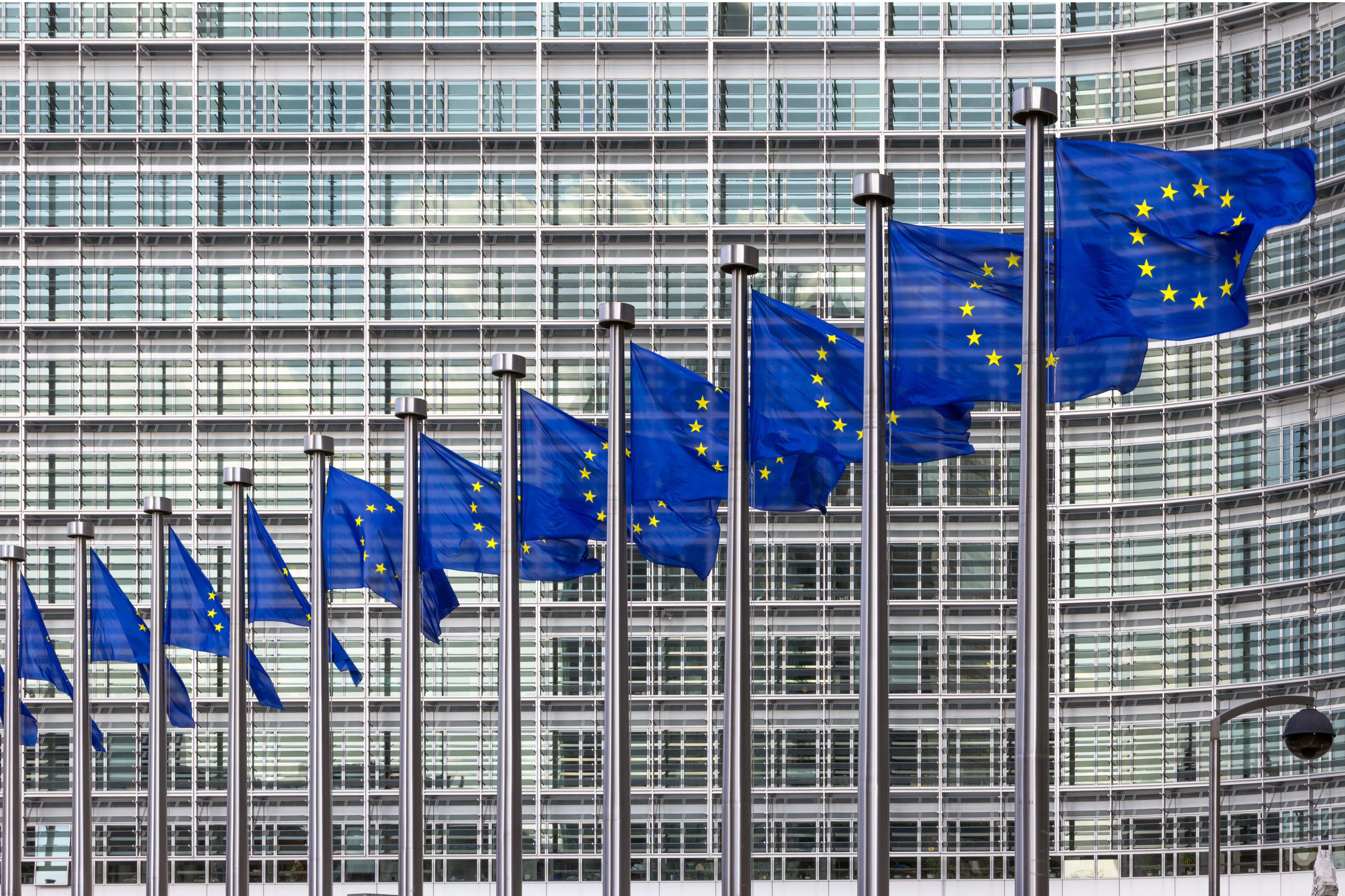 Regulatory Affairs