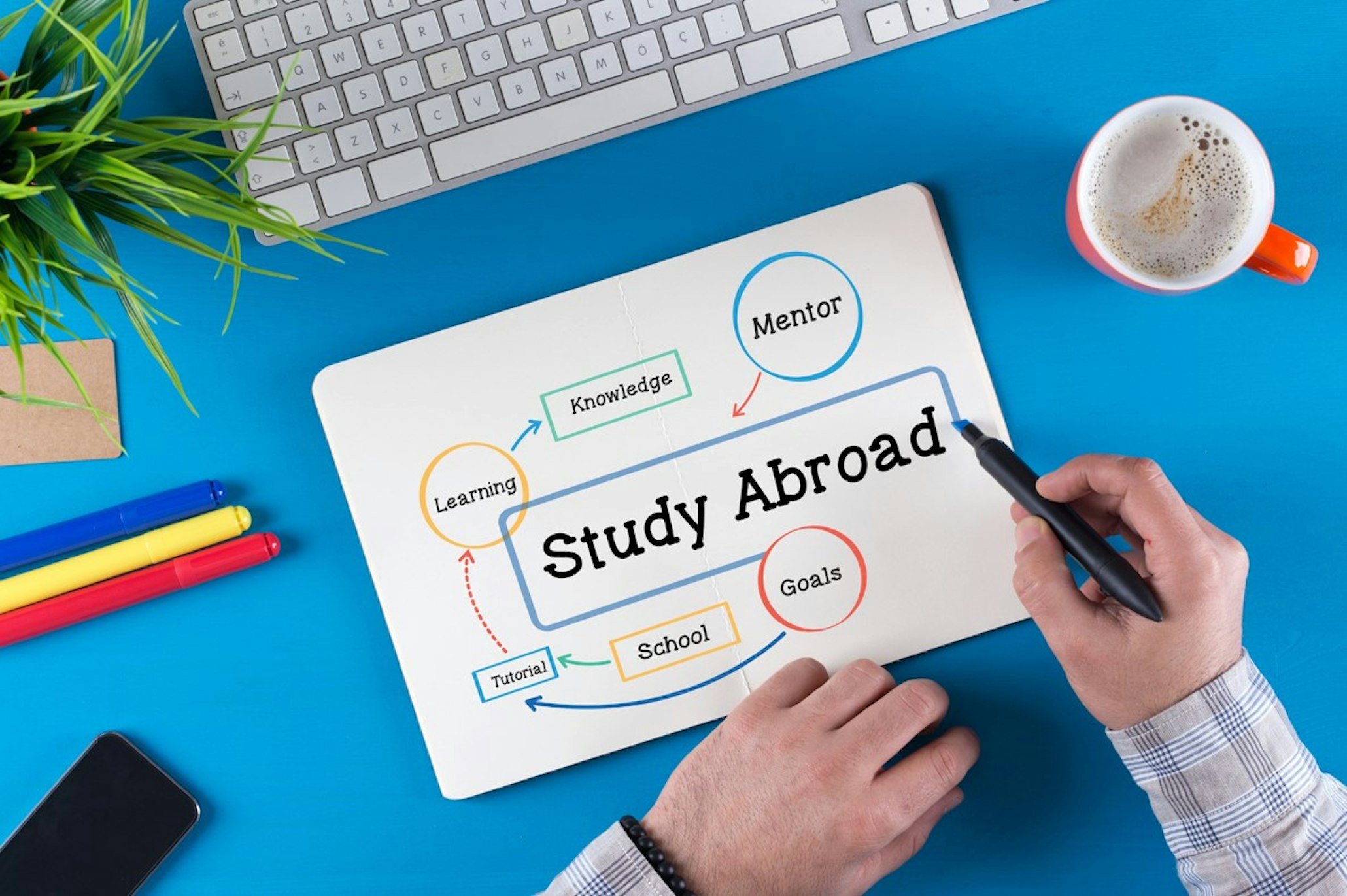 What is Study Abroad? Everything You Need to Know!