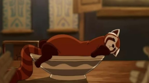 Pabu, the red panda, lounges in a large bowl on a table.