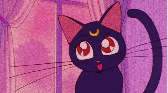 The black cat stares at Sailor moon with a shy smile. The background is varying shades of pink