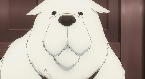 The large, white, Great Pyrenees stands staring at the screen. He stands in front of a large brown door.