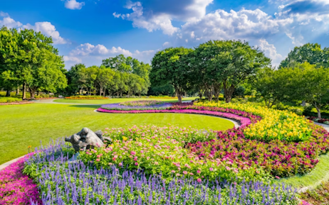The Dallas Arboretum & Botanical Garden