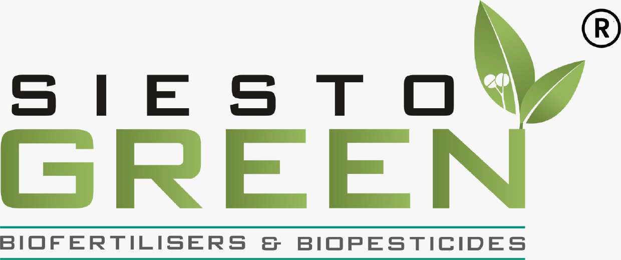 SIESTO SYSTEMS PVT. LTD.