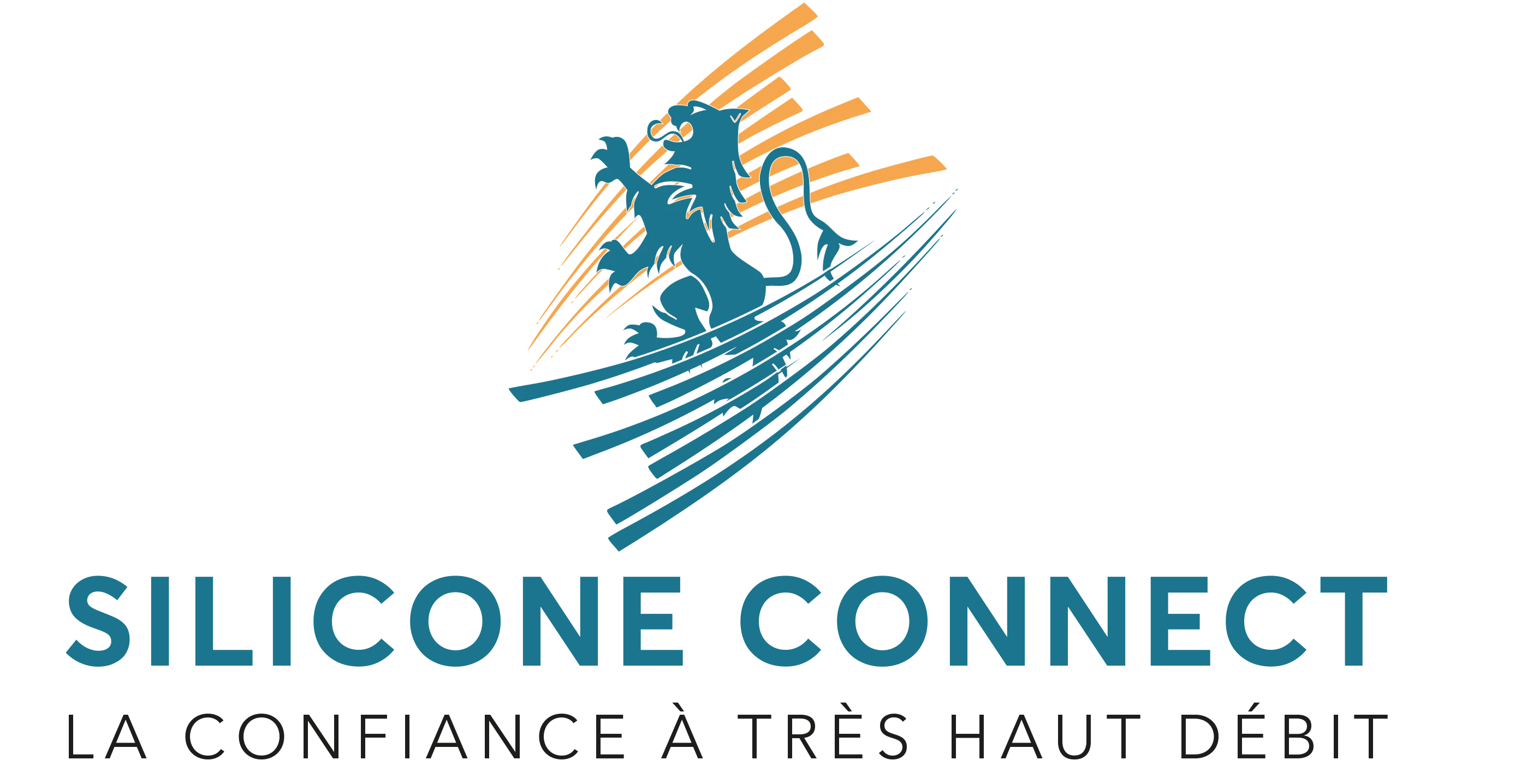 SILICONE CONNECT