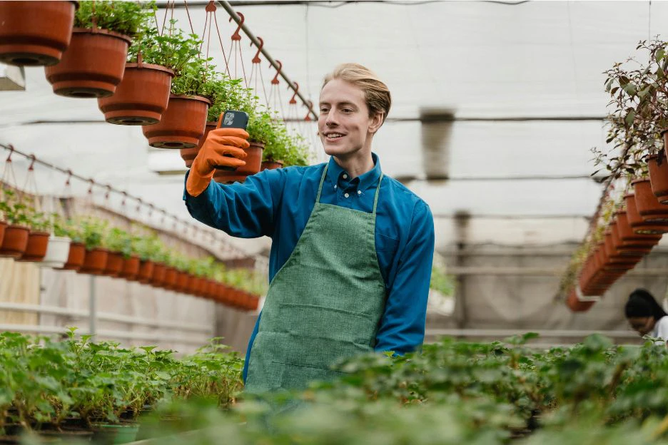 A gardener holding a phone in his hand in a greenhouse