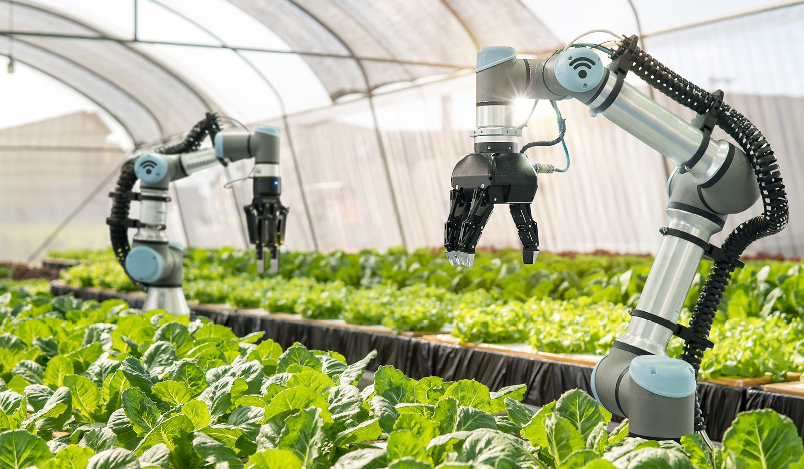 Agri-tech and smart farming at AgraME 2025 in Dubai, featuring AI, IoT, drones, robotics, precision farming and smart greenhouse technology.
