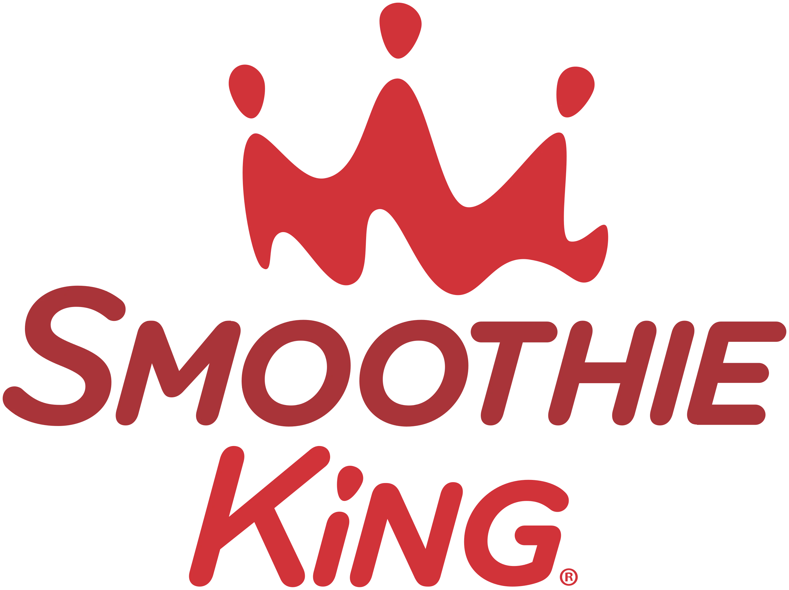 Smoothie King | Chief Information Officer