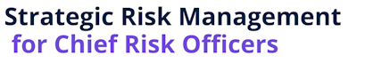 Strategic Risk Management for Chief Risk Officers