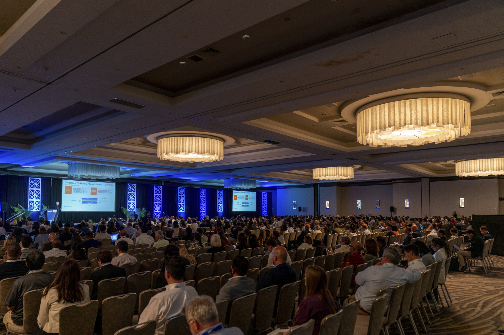 A TIDES USA keynote presentation - full room