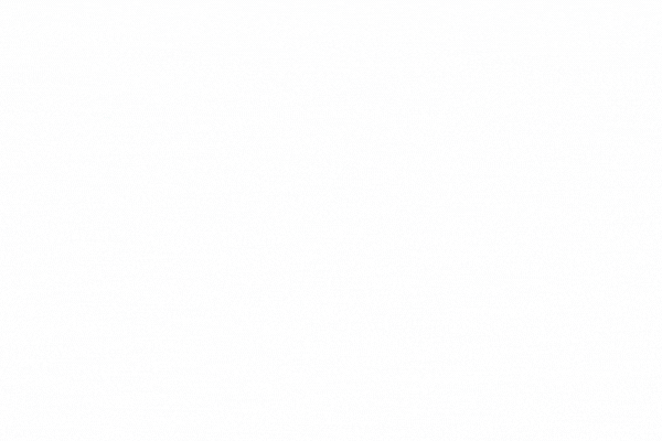 Map graph showcasing country split in attendance for Africa Sugar Conference