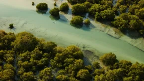 Inland Sea