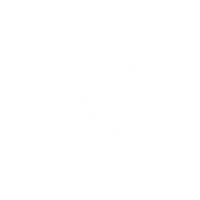 Target icon in white