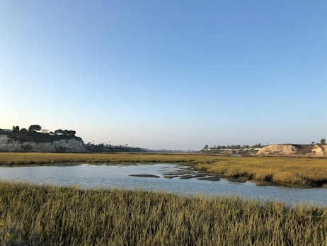 Upper Newport Bay Nature Preserve (Back Bay)