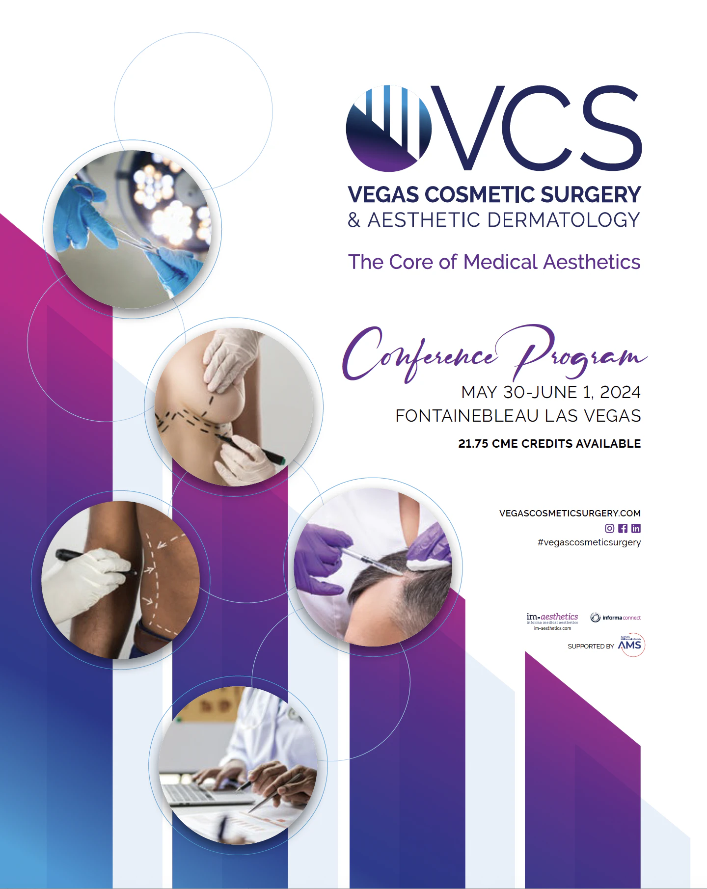 VCS 2024 Conference Program