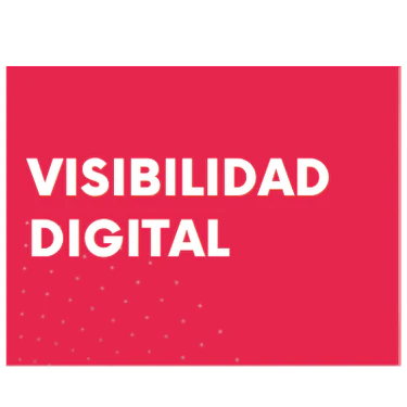 Visibilidad digital