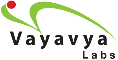 Vayavya Labs