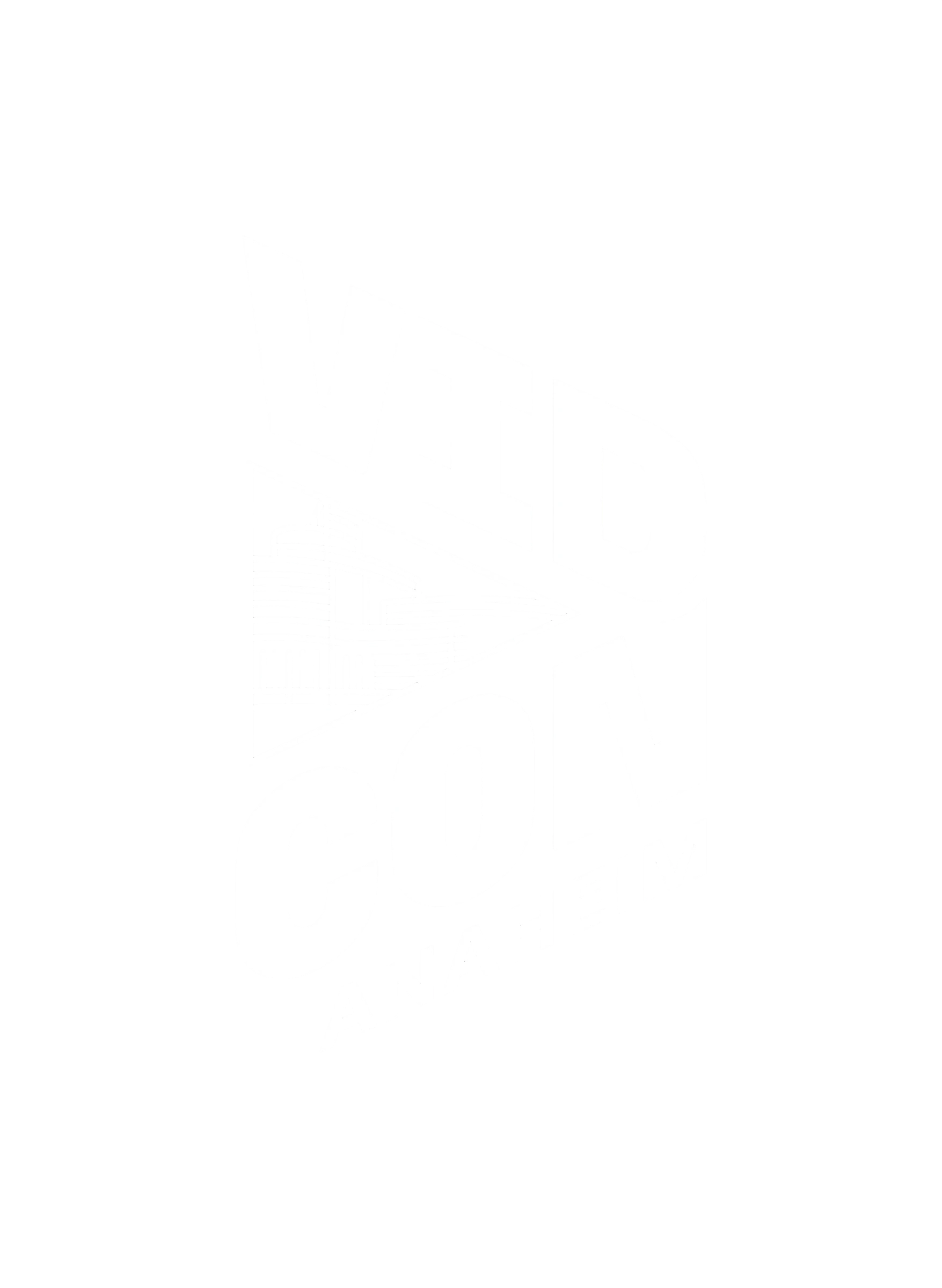 VidCon Anaheim