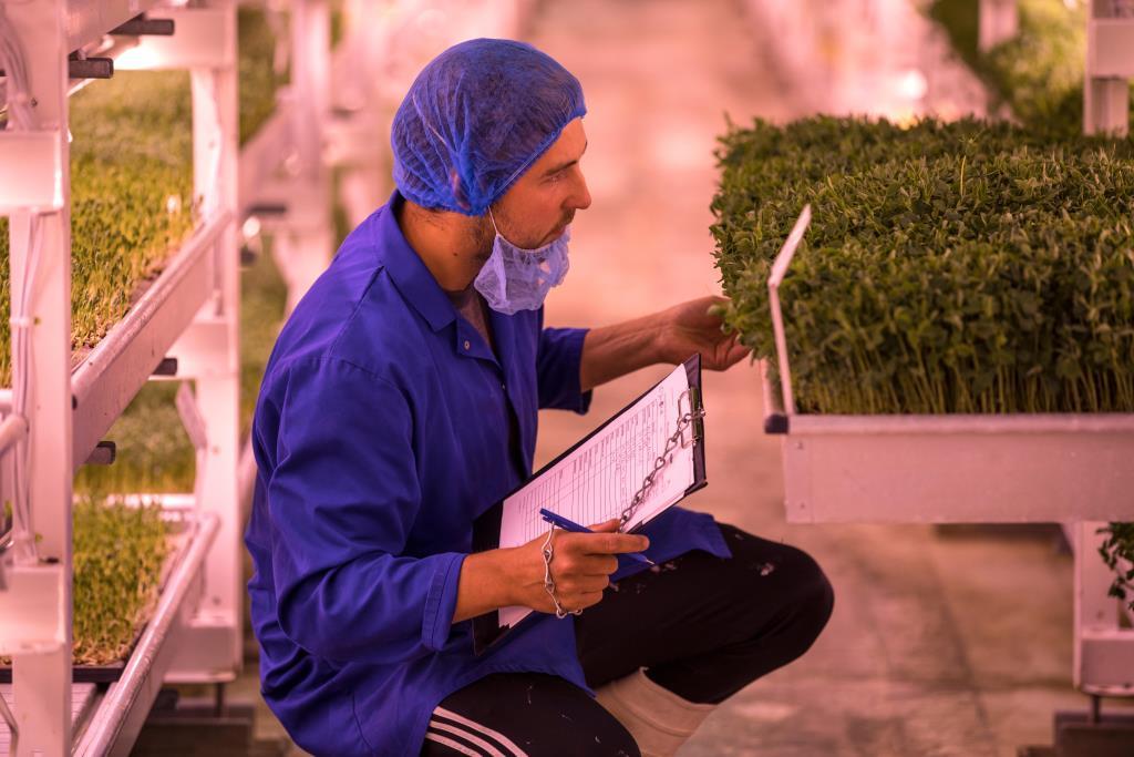 Crop farming expert inspecting young plants at Agra Middle East (AgraME) 2025, highlighting horticulture, crop protection and greenhouse sectors.