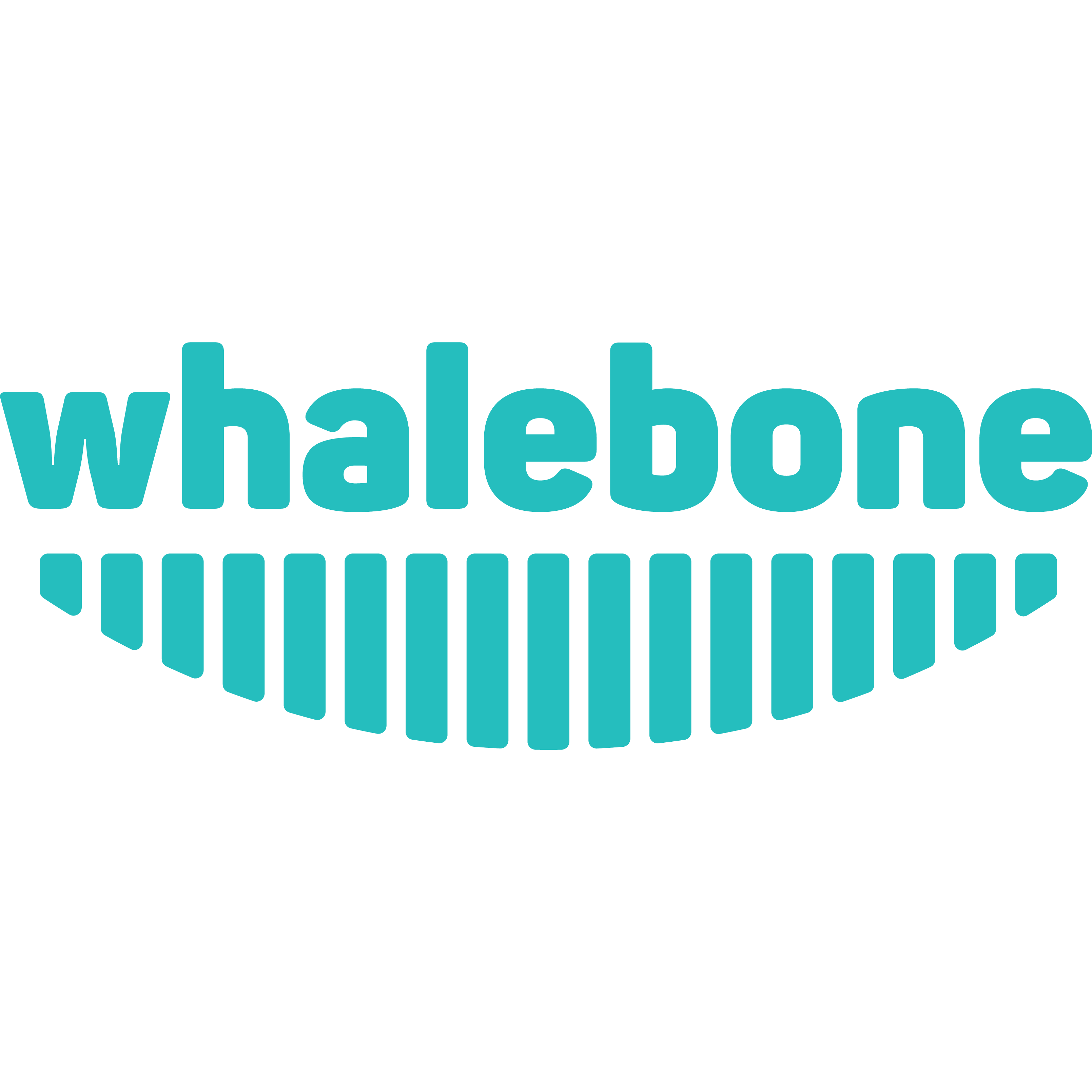 Whalebone