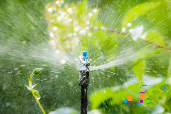 Water management and irrigation solutions at Agra Middle East 2025 in Dubai, UAE, showcasing desalination, water-saving technologies and efficient irrigation systems for arid farming regions.