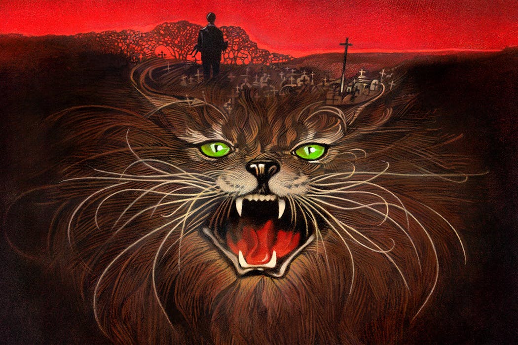 Pet Semetary cover featuring the angry cat