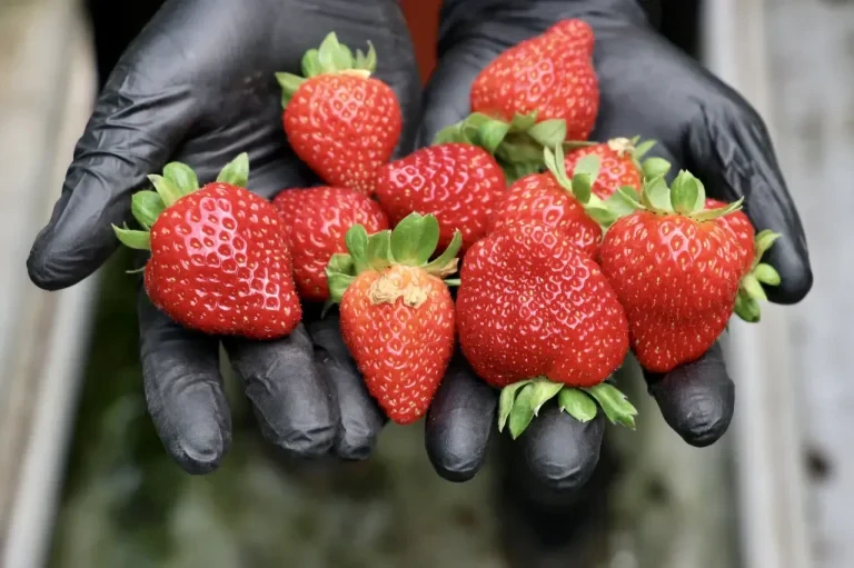 Strawberries