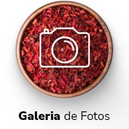 Galeria de Fotos
