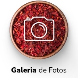 Galeria de Fotos