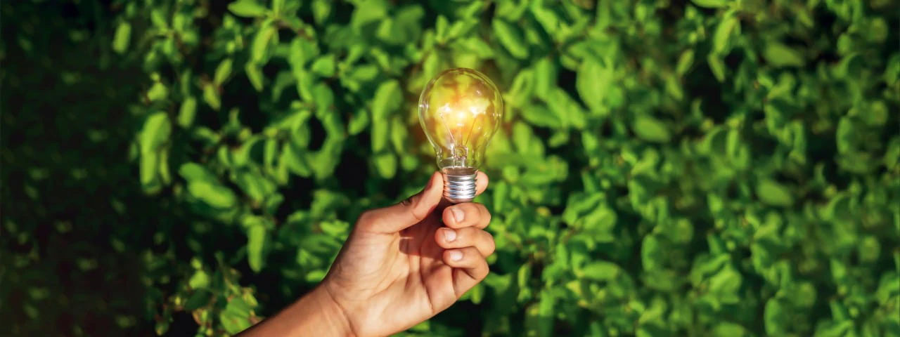 Bulb