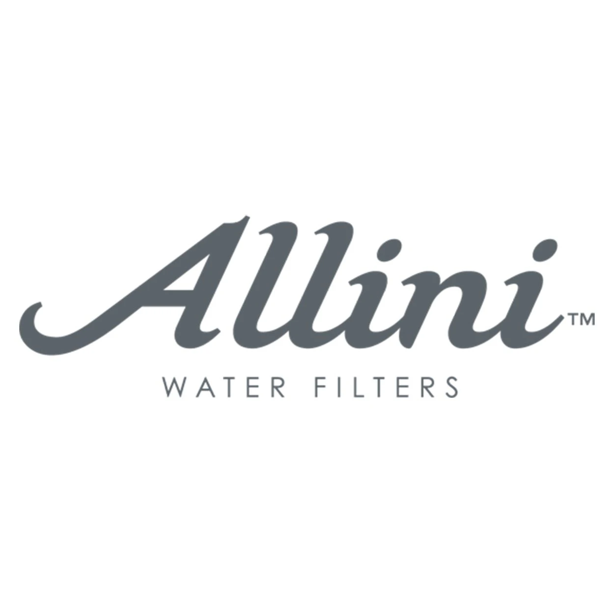 Allini Water Filters logo