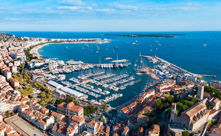 AMWC Cannes