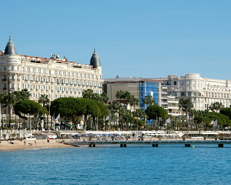 AMWC Cannes - Hotels