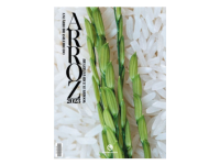 Anuário do Arroz