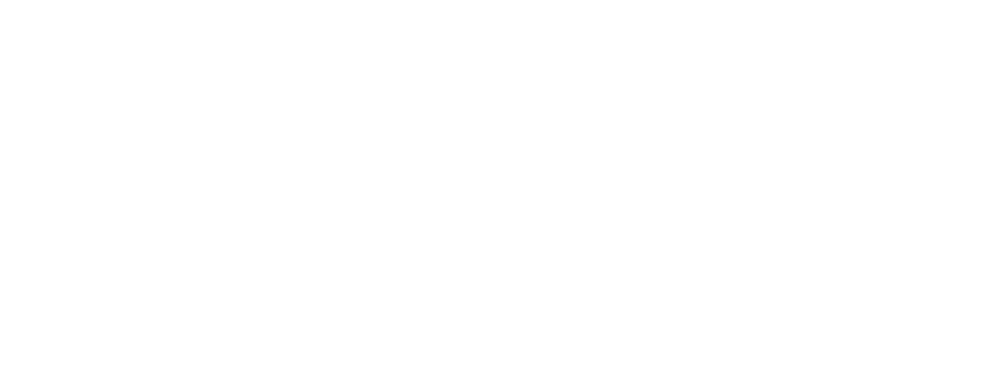 Bank Special Assets East white logo
