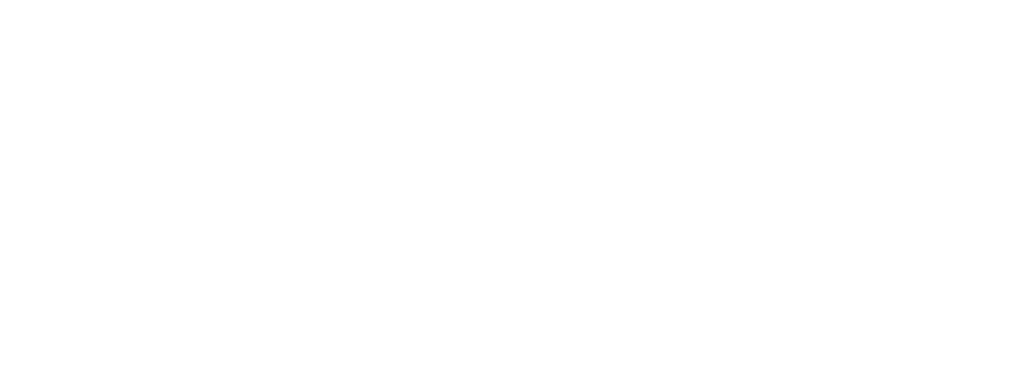 Bank Special Assets Texas white logo