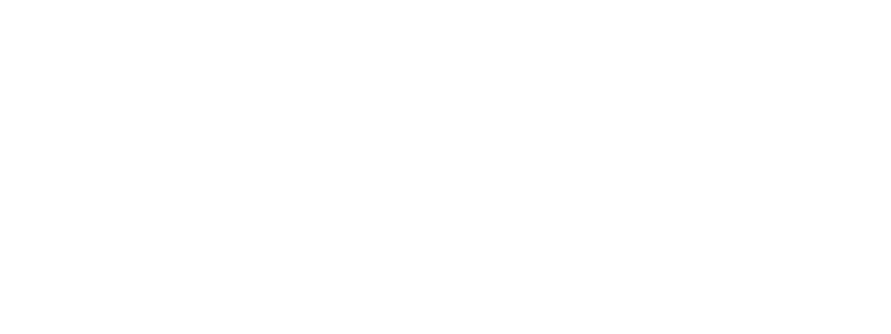 Bank Special Assets West white logo