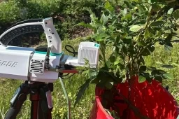optimize blueberry production