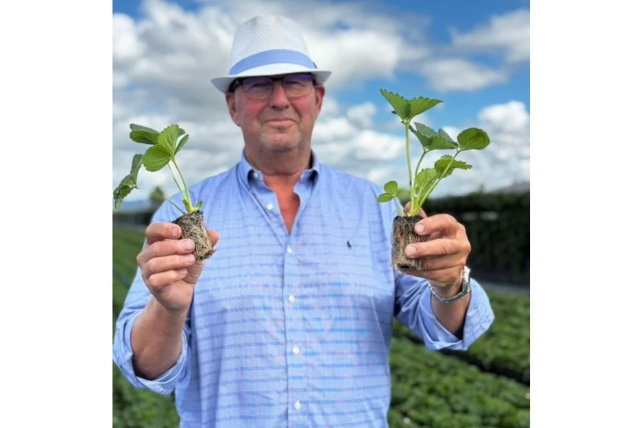 Seed planting