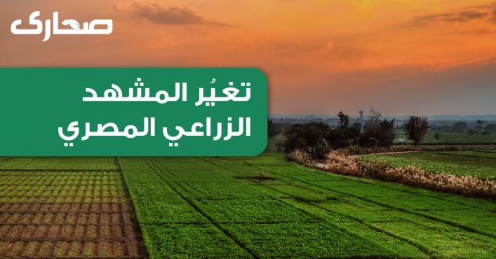 EGYPT’S AGRICULTURAL LANDSCAPE